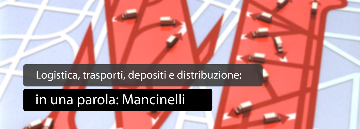 massima professionalità e salvaguardia dell'ambiente